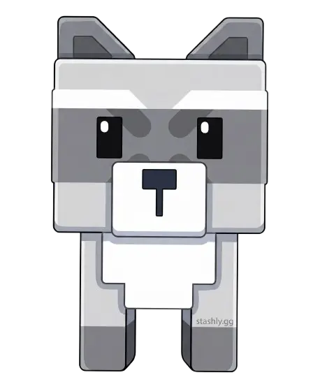 Raccoon